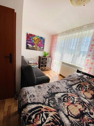 Фото номера Четырехместный номер с ванной комнатой Проживание в семье Pokoje i apartamenty Aga Centrum г. Висла 4