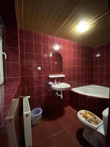 Фото номера Трехместный номер с ванной Проживание в семье Pokoje i apartamenty Aga Centrum г. Висла 3