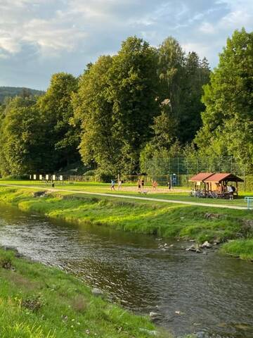 Фото номера Шале Шале Komfortowy Domek AGA Centrum г. Висла 7
