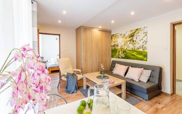 Фото номера Апартаменты с 1 спальней Проживание в семье Apartament i Pokoje Gościnne u Lusi - POKOJE OZONOWANE!!! г. Висла 2